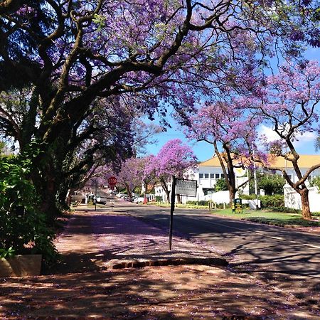 Waterhouse Guest Lodge In Muckleneuk Pretoria-Noord Buitenkant foto