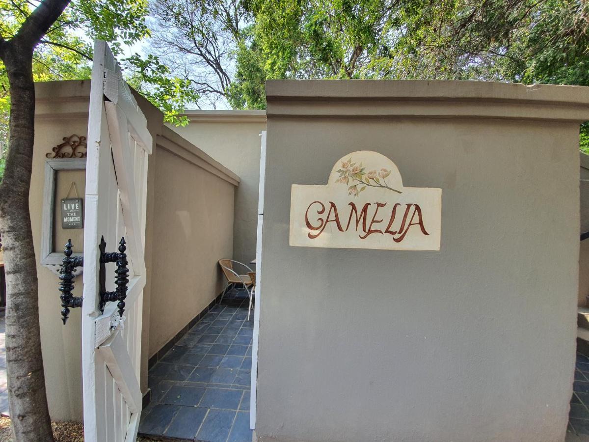 Waterhouse Guest Lodge In Muckleneuk Pretoria-Noord Kamer foto